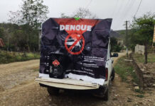 OMS eleva el riesgo de expansión global de dengue, 5 mil muertes en 2023 OMS eleva el riesgo de expansión global de dengue, 5 mil muertes en 2023