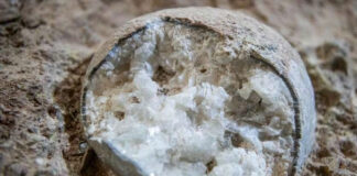 Descubren tres fósiles de huevos de dinosaurio cristalizados Descubren tres fósiles de huevos de dinosaurio cristalizados