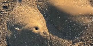 Colinas de arena en las playas de la Texas Gulf Shore: ¿cuál es el fenómeno? Colinas de arena en las playas de la Texas Gulf Shore: ¿cuál es el fenómeno?