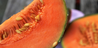 Minnesota, el estado más golpeado por muertes y hospitalizaciones por melones con salmonella Minnesota, el estado más golpeado por muertes y hospitalizaciones por melones con samonella