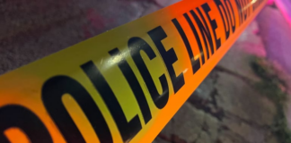 El hombre asesinado en Near North, Minneapolis, había robado cinco perros de 75,000 dólares El hombre asesinado en Near North, Minneapolis, había robado cinco perros de 75,000 dólares