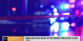 Un hombre y su perro murieron después de ser atropellados en St. Paul Un hombre y su perro murieron después de ser atropellados en St. Paul