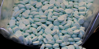 La policía de Minneapolis Park confisca más de 1.700 pastillas de fentanilo La policía de Minneapolis Park confisca más de 1.700 pastillas de fentanilo