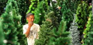 La venta de árboles de Navidad genera casi US$400 millones en Texas Desde 2018, la venta de árboles de Navidad ha disminuido en EE.UU.