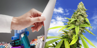 El MDH permitirá a los pacientes consumir marihuana mediante vaporización de hierba seca El MDH permitirá a los pacientes consumir marihuana mediante vaporización de hierba seca