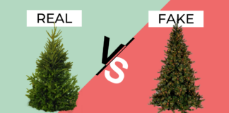 Árbol de navidad natural o artificial, ¿cuál es el más ecológico? Árbol de navidad natural o artificial, ¿cuál es el más ecológico?