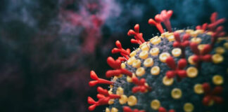 La OMS vigila la Pirola, variante altamente contagiosa del Covid-19 La OMS vigila la Pirola, variante altamente contagiosa del Covid-19