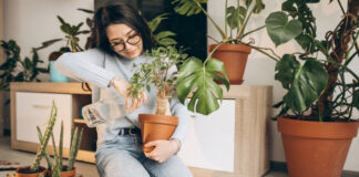 Las plantas se reconocen e interactúan entre sí, dice estudio Las plantas se reconocen e interactúan entre sí, según un estudio