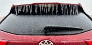 Alertan por tormenta invernal en cinco estados de EEUU Alertan por tormenta invernal en cinco estados de EEUU