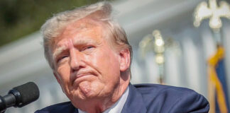 Industriales mexicanos temen el regreso de Trump a presidencia de EEUU Industriales mexicanos temen el regreso de Trump a presidencia de EEUU