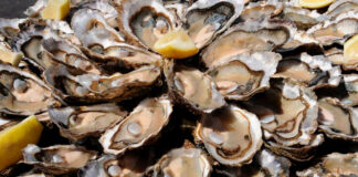 EEUU alerta contra ostras de México por contaminación de norovirus EEUU alerta contra ostras de México por contaminación de norovirus