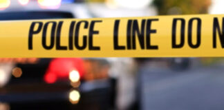 Hallan una cabeza y un cuerpo desmembrado en el congelador en NY Hallan una cabeza y un cuerpo desmembrado en el congelador en NY