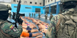 “Otro Bukele”: Operativo en cárceles de Ecuador desata reacciones "Otro Bukele": Operativo en cárceles de Ecuador desata reacciones