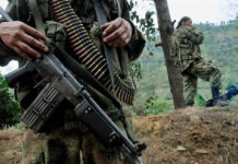 Detienen al “comandante Gringo”, líder de disidencia de las FARC Detienen al “comandante Gringo”, líder de disidencia de las FARC