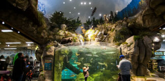 Arrestan a un hombre que se metió desnudo a un acuario en Alabama Arrestan a un hombre que se metió desnudo a un acuario en Alabama