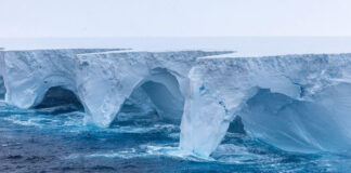El A23a, el iceberg más grande del mundo se derrite en la Antártida El iceberg más grande del mundo se derrite y muestra masivas cuevas y arcos