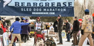 La carrera “John Beargrease Sled Dog Marathon” ha sido cancelada por falta de nieve La carrera "John Beargrease Sled Dog Marathon" ha sido cancelada por falta de nieve