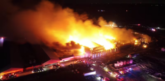 Un incendio masivo envolvió una granja de pollos: grandes pérdidas Un incendio masivo envolvió una granja de pollos: grandes pérdidas