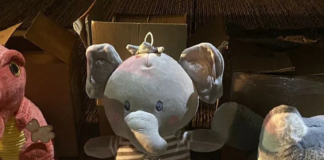 Banda operaba escondiendo fentanilo en muñecos de peluche Banda operaba escondiendo fentanilo en muñecos de peluche