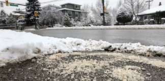 Dos vecindarios de Minneapolis se están uniendo para reducir la cantidad de sal Dos vecindarios de Minneapolis se están uniendo para reducir la cantidad de sal