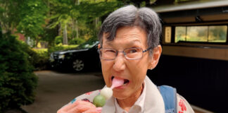 Muere la tiktoker Lynn Yamada Davis, ganadora de Récord Guinness Muere la tiktoker Lynn Yamada Davis, ganadora de Récord Guinness