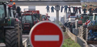 ¿Por qué se extendien las protestas de agricultores por Europa? ¿Por qué se extendien las protestas de agricultores por Europa?
