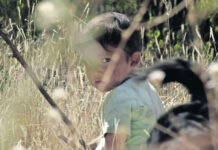 “Sujo” gana premio a mejor drama internacional en el Sundance Festival "Sujo" gana premio a mejor drama internacional en el Sundance Festival