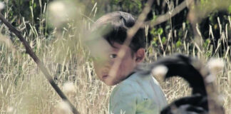 “Sujo” gana premio a mejor drama internacional en el Sundance Festival "Sujo" gana premio a mejor drama internacional en el Sundance Festival