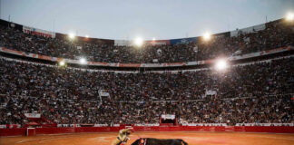 Las corridas de toros seguirán en la Plaza México; niegan suspensión definitiva Las corridas de toros seguirán en la Plaza México; niegan suspensión definitiva