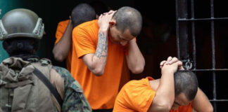 Cómo se ha transformado el crimen organizado en América Latina Cómo se ha transformado el crimen organizado en América Latina