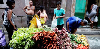 Cuba pide por primera vez ayuda al Programa Mundial de Alimentos de la ONU Cuba pide por primera vez ayuda al Programa Mundial de Alimentos de la ONU