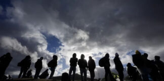 Cruces ilegales en frontera sur caen en enero tras un diciembre récord Cruces ilegales en frontera sur caen en enero tras un diciembre récord