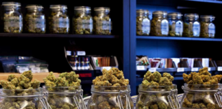 Osseo, camino a tener la primera tienda municipal de marihuana Osseo, camino a tener la primera tienda municipal de marihuana