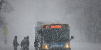 Más de un 25% de retrasos en tiempo para el transporte debido a la nevada Más de un 25% de retrasos en tiempo para el transporte debido a la nevada