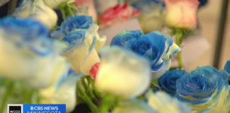 El homenaje a los caídos en Burnsville con 4.000 rosas para el monumento El homenaje a los caídos en Burnsville con 4.000 rosas para el monumento