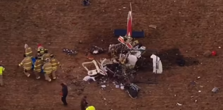 Un ganso fue la causa de la caída mortal de un helicóptero en Oklahoma Un ganso fue la causa de la caída mortal de un helicóptero en Oklahoma