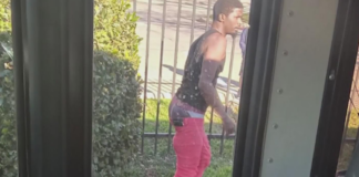 Un hombre subió un autobús escolar lleno de niños y agredió al chofer en el Norte Un hombre subió un autobús escolar lleno de niños y agredió al chofer en el Norte