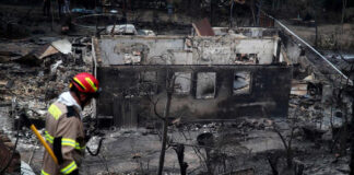 Incendios en Chile destruyen el Jardín Botánico de Viña del Mar Incendios en Chile destruyen el Jardín Botánico de Viña del Mar