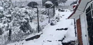 Zonas altas de la CDMX se pintan de blanco por llegada del frente frío 35 Zonas altas de la CDMX se pintan de blanco por llegada del frente frío 35