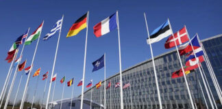 El Parlamento de Hungría aprueba el ingreso de Suecia a la OTAN El Parlamento de Hungría aprueba el ingreso de Suecia a la OTAN