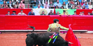 Jueza ordena suspensión de las corridas de toros en la Plaza México Jueza ordena suspensión de las corridas de toros en la Plaza México