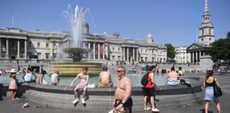 La Tierra supera por primera vez 1.5 grados de calentamiento en 12 meses seguidos La Tierra supera por primera vez 1.5 grados de calentamiento en 12 meses seguidos