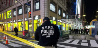 Arrestan a joven acusado de disparar a turista y a oficial en Times Square Arrestan a joven acusado de disparar a turista y a oficial en Times Square