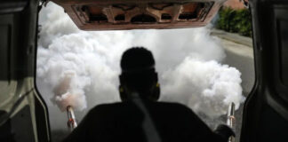 Alerta de récord de dengue en América Latina por cambio climático Alerta de récord de dengue en América Latina por cambio climático