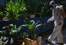 Epidemia de dengue en Latinoamérica enciende las alarmas Epidemia de dengue en Latinoamérica enciende las alarmas