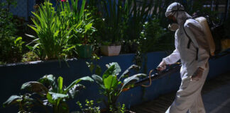 Epidemia de dengue en Latinoamérica enciende las alarmas Epidemia de dengue en Latinoamérica enciende las alarmas