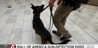 Ya está en actividad el primer perro detector de armas en el MOA Ya está en actividad el primer perro detector de armas en el MOA