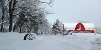 ¿Este mes podría ser el marzo con más nieve en la historia de Minnesota? ¿Este mes podría ser el marzo con más nieve en la historia de Minnesota?