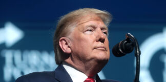 Las 14 promesas de Donald Trump en su campaña en pro de un segundo mandato Las 14 promesas de Donald Trump en su campaña en pro de un segundo mandato