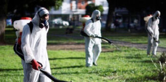 Argentina atraviesa el peor brote de dengue de su historia Argentina atraviesa el peor brote de dengue de su historia